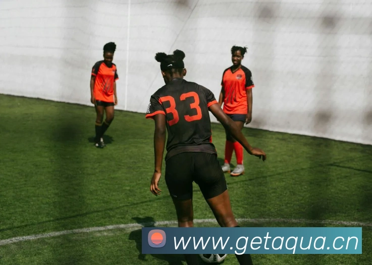 巅峰国际手机版官方下载平台生态图