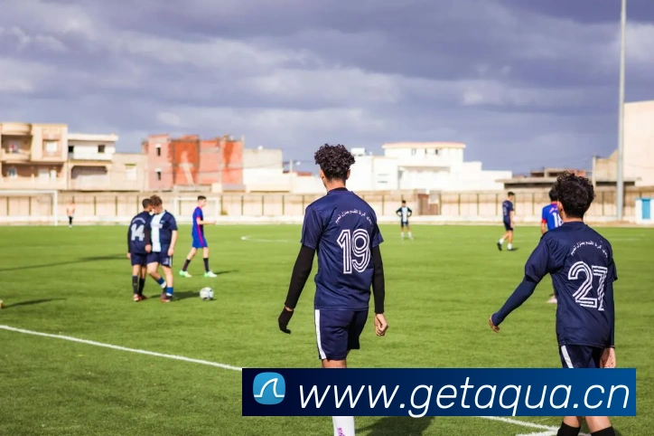 巅峰国际手机版官方下载APP 封面图